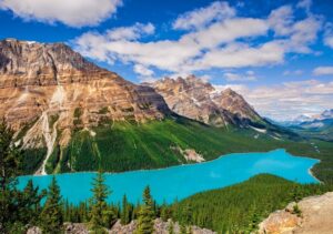 legpuzzel Peyto Lake, Canada 500 stukjes - Afbeelding 2