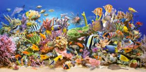 legpuzzel Underwater Life 4000 stukjes - Afbeelding 2