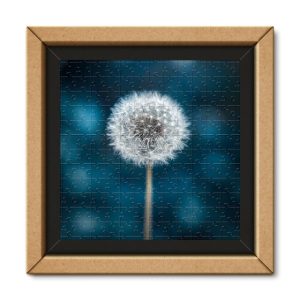 legpuzzel Frame Me Up - Make a Wish 250 stukjes