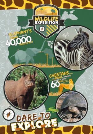 legpuzzel National Geographic Expore 180 stukjes - Afbeelding 2