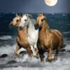 puzzel rennende paarden 1500 stukjes - Afbeelding 2
