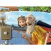legpuzzel De Kleine Prins - Dagdroom 3 puzzels 12 stukjes - Afbeelding 2