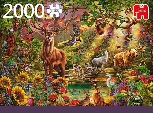 puzzel magic forest at sunset 2000 stukjes
