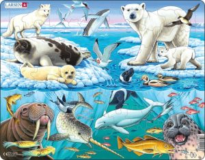 legpuzzel Maxi Noordpooldieren 75 stukjes
