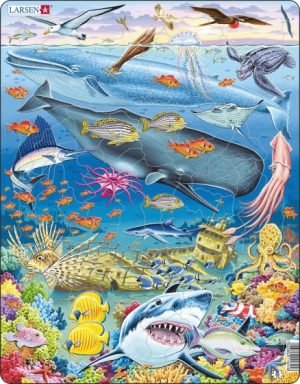 legpuzzel Maxi Stille Oceaan 66 stukjes