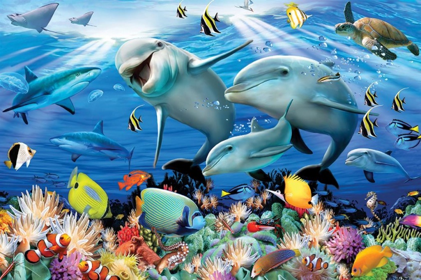 legpuzzel 3D Sunshine on the Reef 150 stukjes - Afbeelding 2