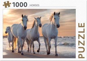 Horses (Paarden)