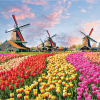 Dutch Windmills - Afbeelding 2