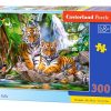 Tiger Falls