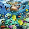 Onderwaterparadijs - Afbeelding 2