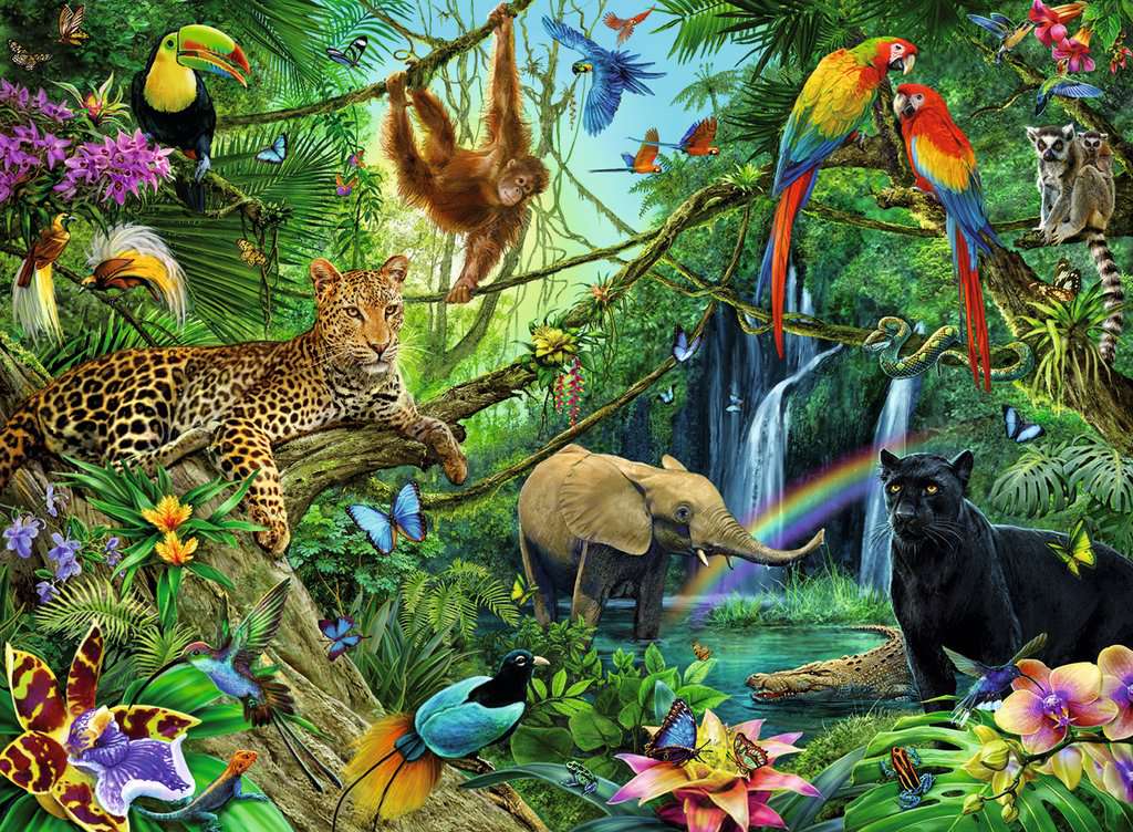 Dieren in de jungle - Afbeelding 2
