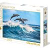 Dolphins - Afbeelding 3