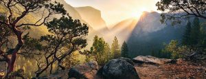 Yosemite Park - Afbeelding 2